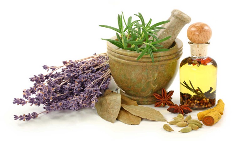 Las plantas medicinales y la conducción