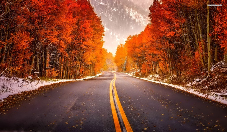Prepara tu coche para el otoño