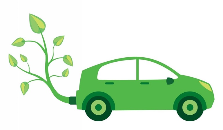 Medioambiente: cómo podemos cuidarlo