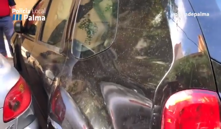 Multa por aparcar muy cerca de otro coche