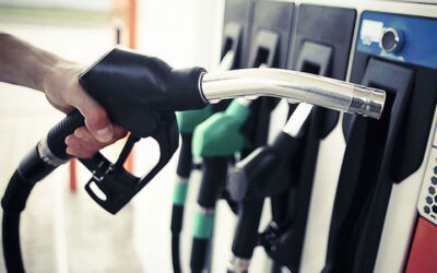 Europa dividida ¿Se salvarán finalmente los coches diésel y gasolina?