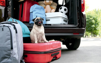 ¿Cómo debemos viajar este verano para que no nos multen?