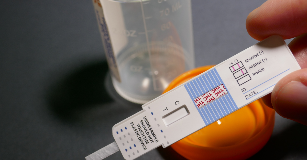 ¿vale la pena recurrir una multa de drogotest?